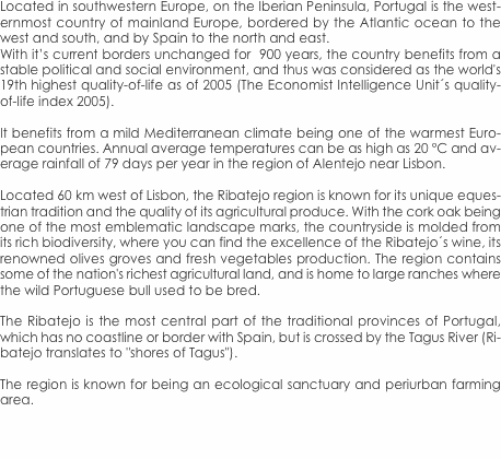 Porquê comprar esta casa? Se procura uma habitação totalmente a